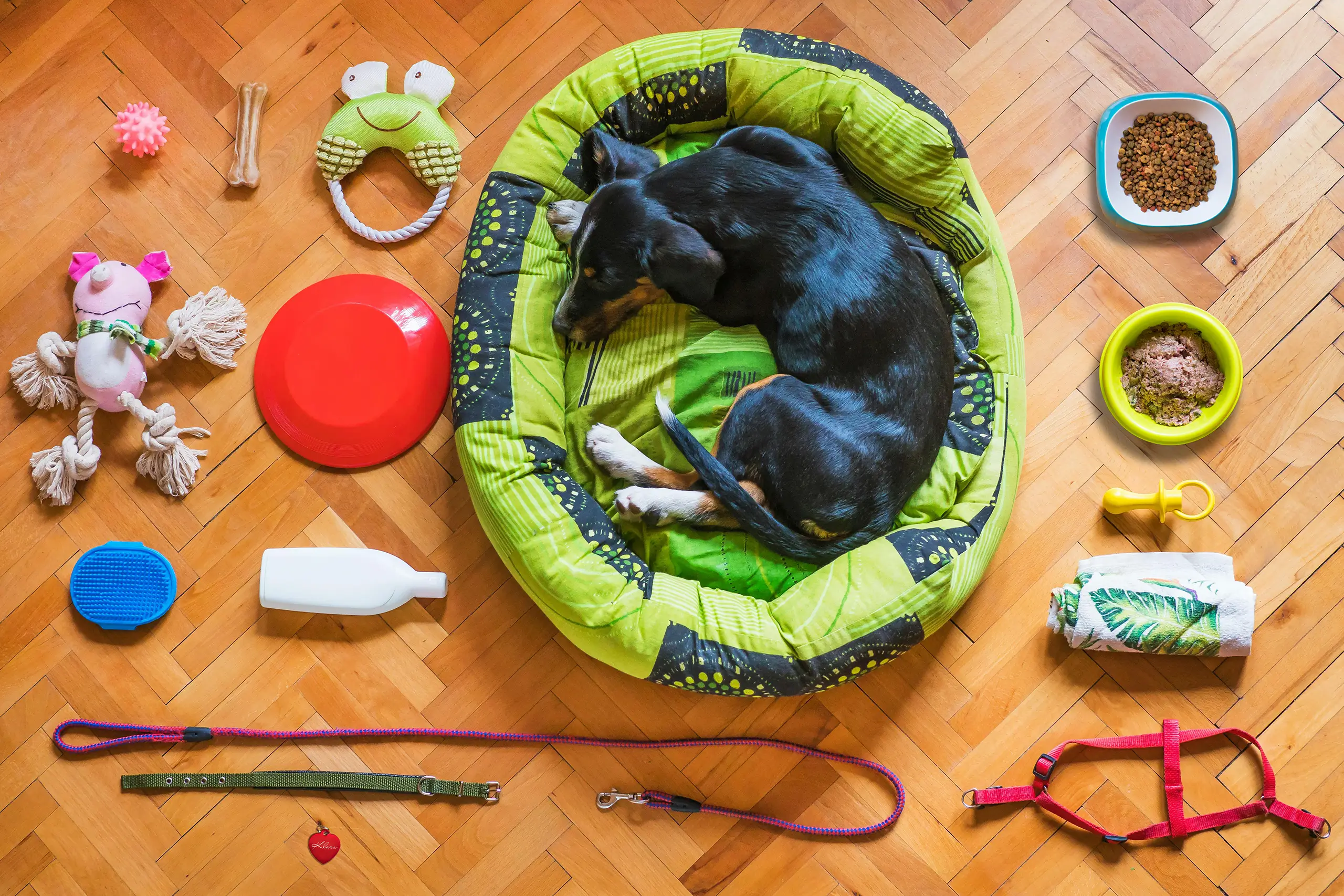 Accesorios para mascotas